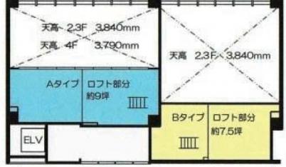 KAZU表参道