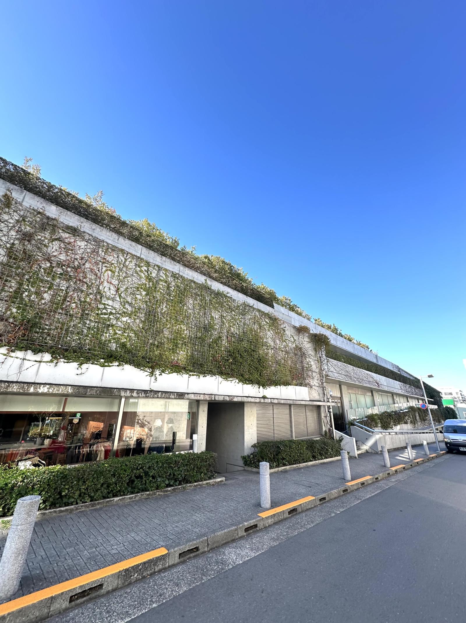 表参道ヒルズビル